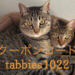 10/22 Sanyo猫の日キャンペーンのお知らせ