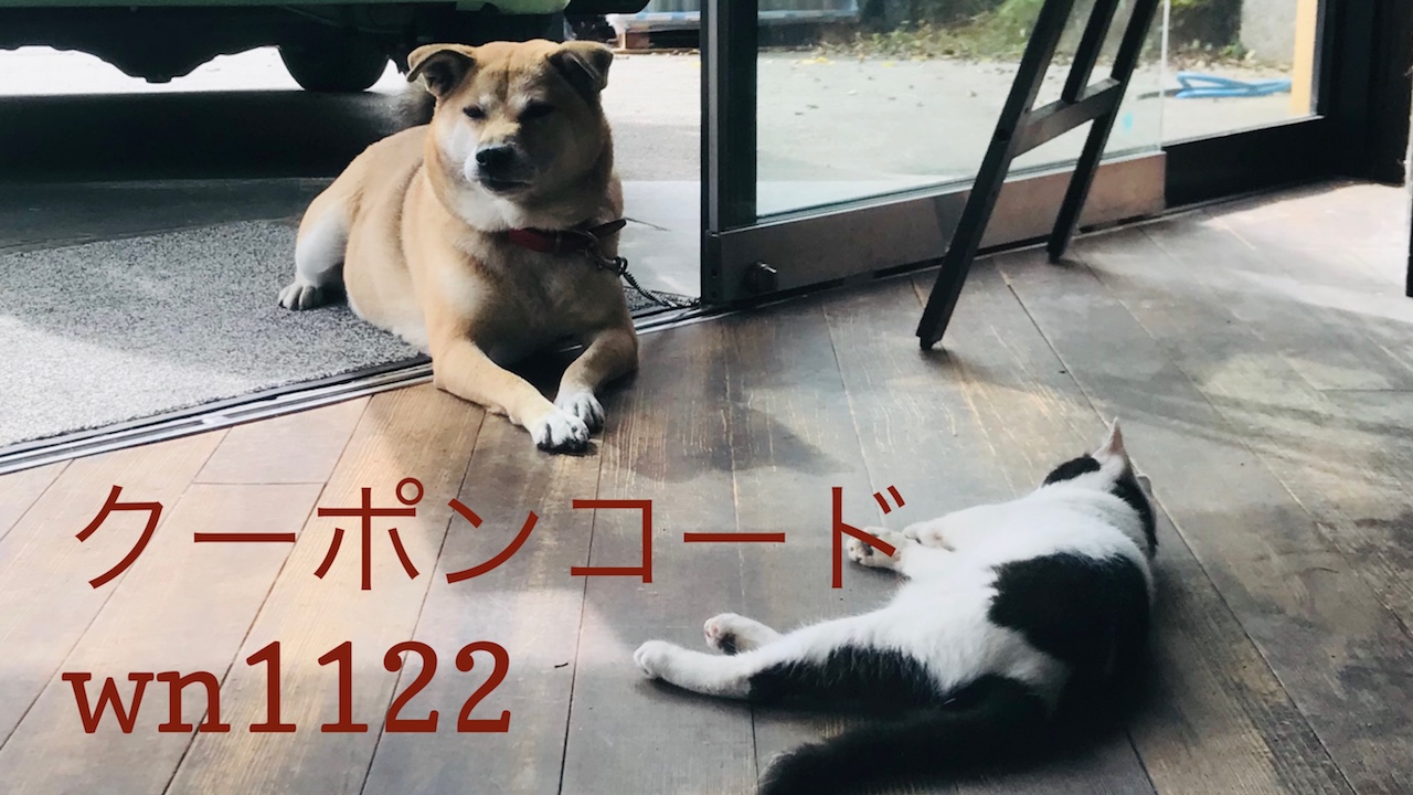 You are currently viewing 11/22&23 Sanyo犬猫の日キャンペーンのお知らせ