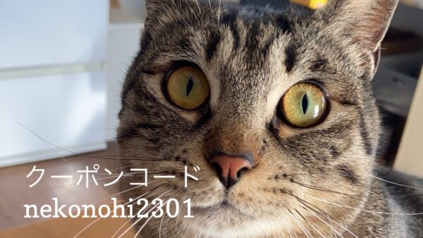 Read more about the article 1/22 Sanyo猫の日キャンペーン（代引きのみ）のお知らせ