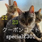 2/22-24 Sanyo猫の日キャンペーン（スペシャル）のお知らせ