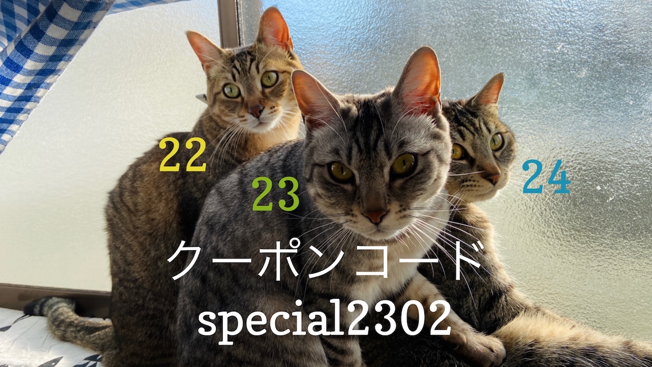 Read more about the article 2/22-24 Sanyo猫の日キャンペーン（スペシャル）のお知らせ