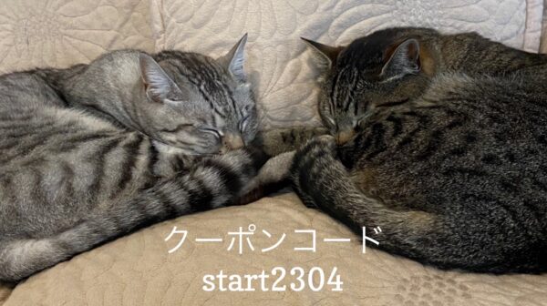 Read more about the article 4/22 Sanyo猫の日キャンペーンのお知らせ