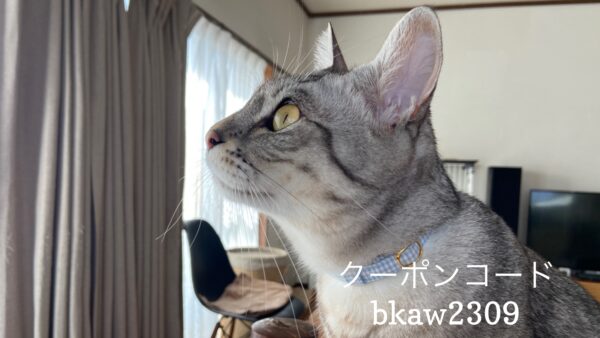 Read more about the article 9/22 Sanyo猫の日キャンペーン（今月まで夏期）のお知らせ