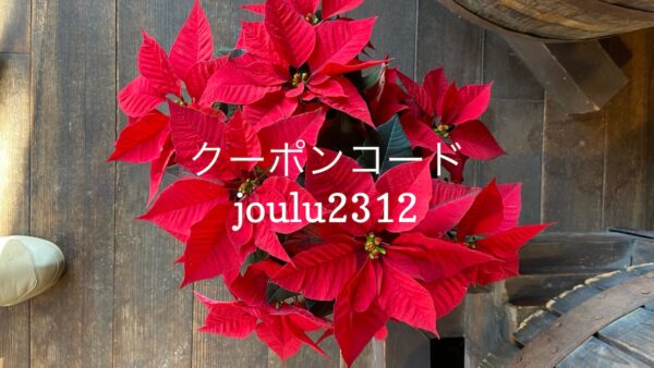 Read more about the article 12/22 Sanyo猫の日キャンペーン（クリスマス）のお知らせ