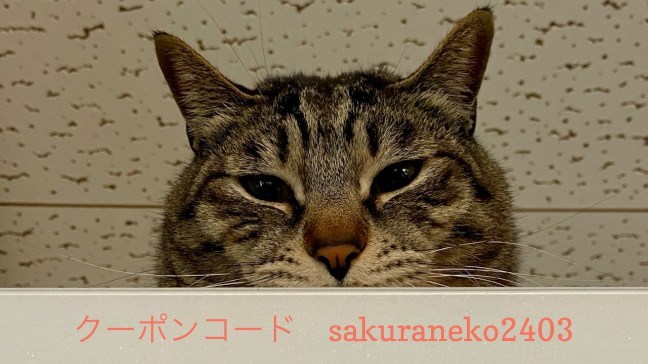 Read more about the article 3/22 Sanyo猫の日キャンペーンのお知らせ