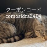 4/22 Sanyo猫の日キャンペーンのお知らせ