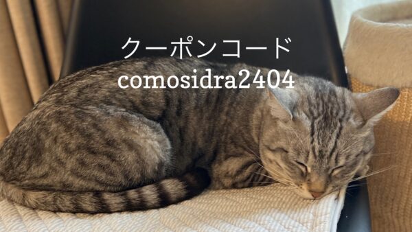 Read more about the article 4/22 Sanyo猫の日キャンペーンのお知らせ