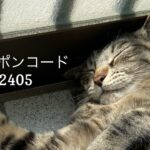 5/22 Sanyo猫の日キャンペーンのお知らせ