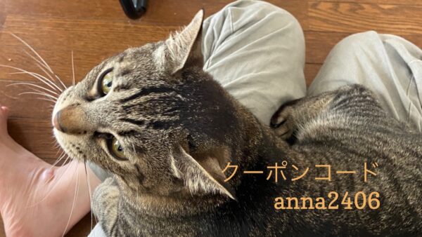 Read more about the article 6/22 Sanyo猫の日キャンペーンのお知らせ（夏期）