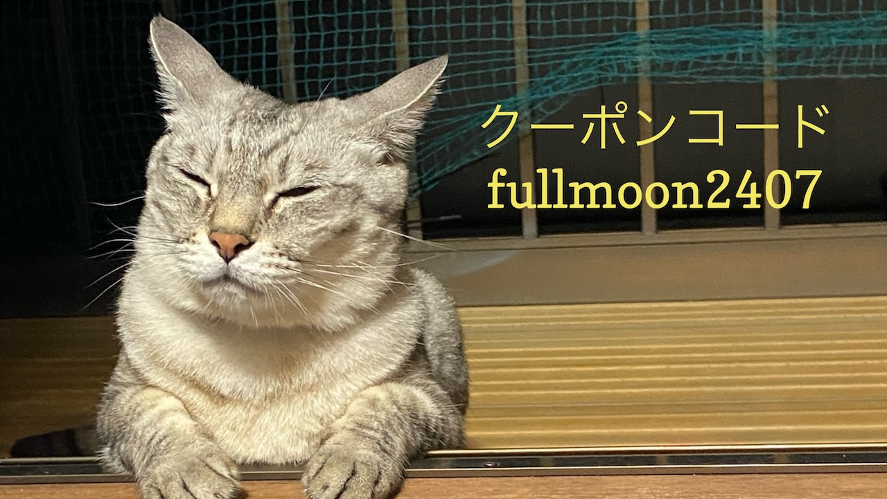 Read more about the article 7/22 Sanyo猫の日キャンペーンのお知らせ（夏期）