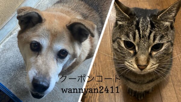 Read more about the article 11/22-23 Sanyo犬猫の日キャンペーンのお知らせ