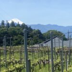 6/1からの夏期送料について