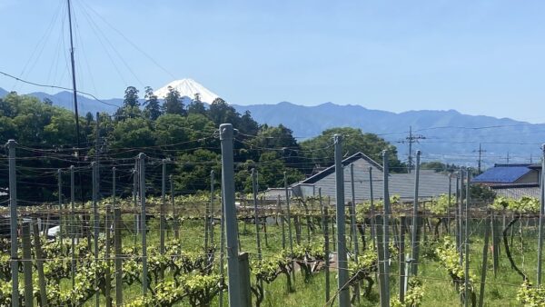 投稿についてもっと詳しく 6/1からの夏期送料について