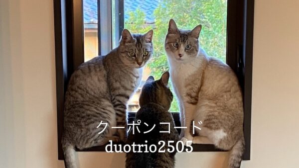 投稿についてもっと詳しく 5/22 猫の日キャンペーンのお知らせ