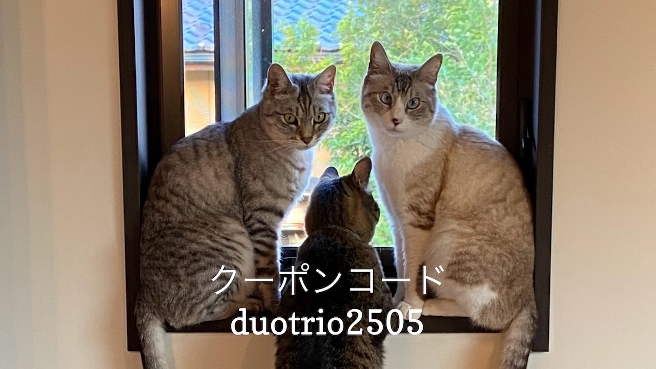 投稿についてもっと詳しく 5/22 猫の日キャンペーンのお知らせ