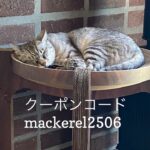 6/22 猫の日キャンペーンのお知らせ