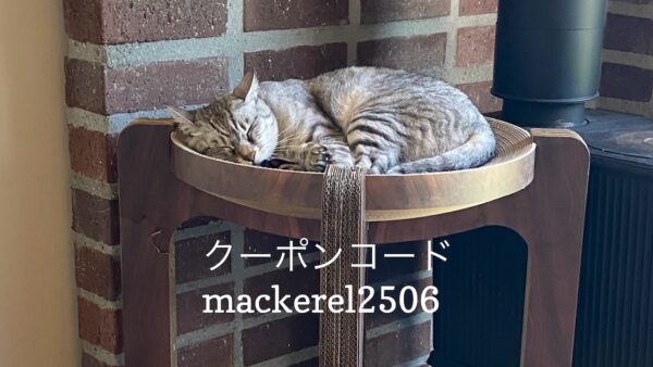 投稿についてもっと詳しく 6/22 猫の日キャンペーンのお知らせ