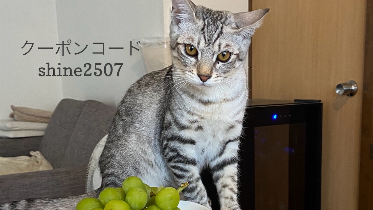 あなたが現在見ているのは 7/22 猫の日キャンペーンのお知らせ
