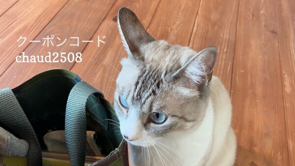 投稿についてもっと詳しく 8/22 猫の日キャンペーンのお知らせ