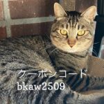 9/22 猫の日キャンペーンのお知らせ