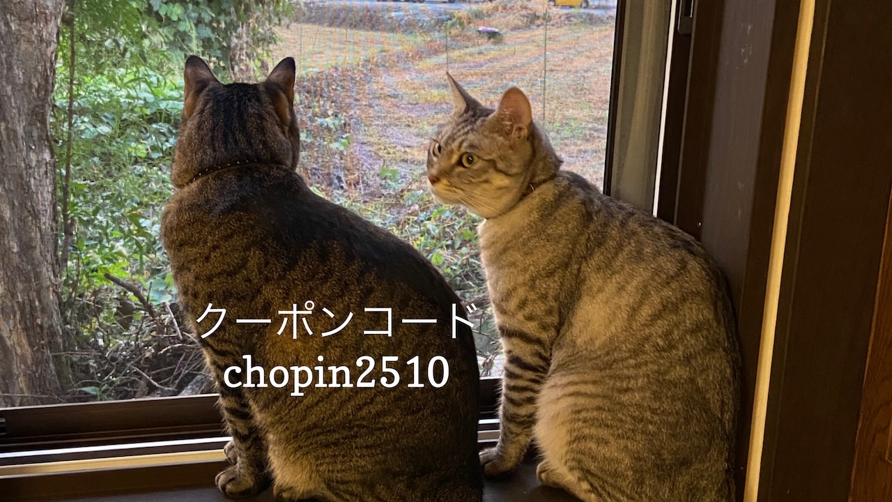 あなたが現在見ているのは 10/22 猫の日キャンペーンのお知らせ