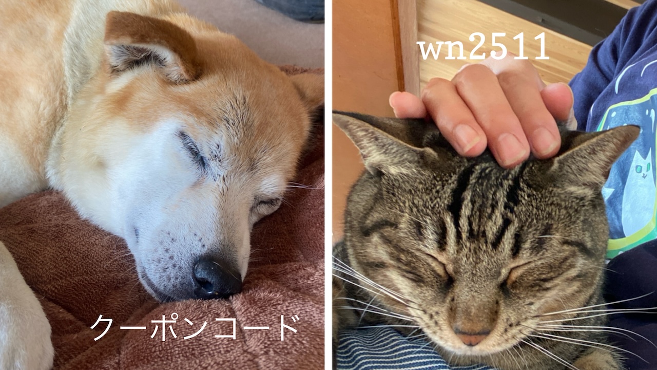 あなたが現在見ているのは 11/22-24 犬猫の日キャンペーンのお知らせ
