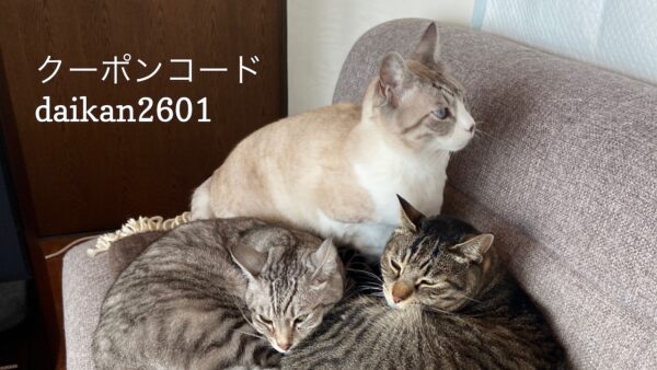 投稿についてもっと詳しく 1/22 Sanyo猫の日キャンペーンのお知らせ