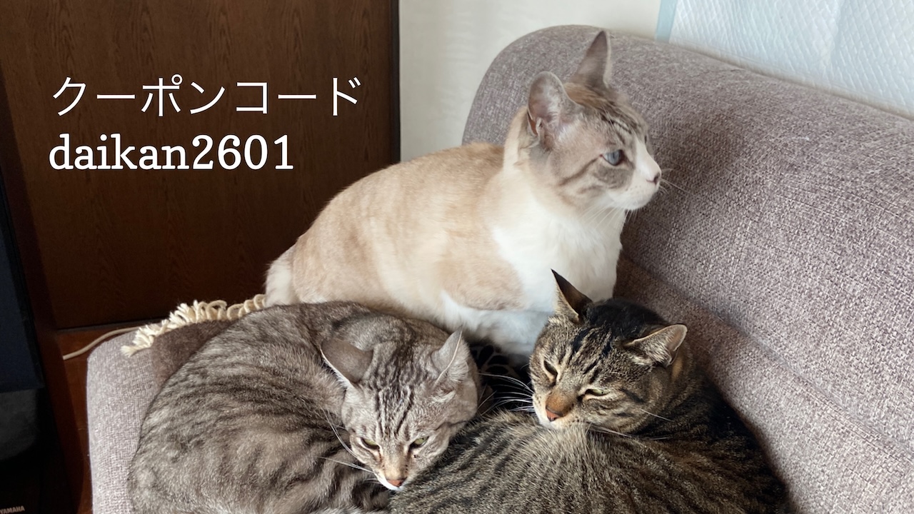 あなたが現在見ているのは 1/22 Sanyo猫の日キャンペーンのお知らせ