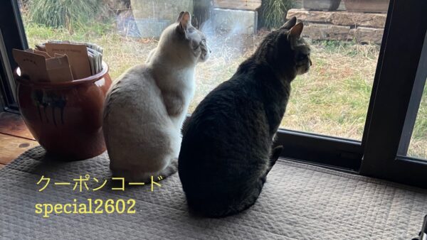 投稿についてもっと詳しく 2/22-24 Sanyo猫の日キャンペーン（スペシャル）のお知らせ