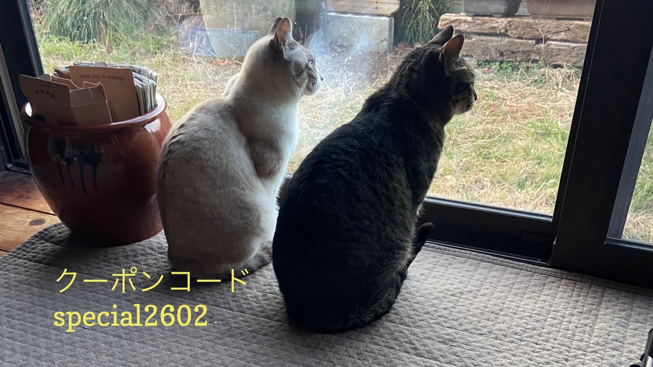 あなたが現在見ているのは 2/22-24 Sanyo猫の日キャンペーン（スペシャル）のお知らせ