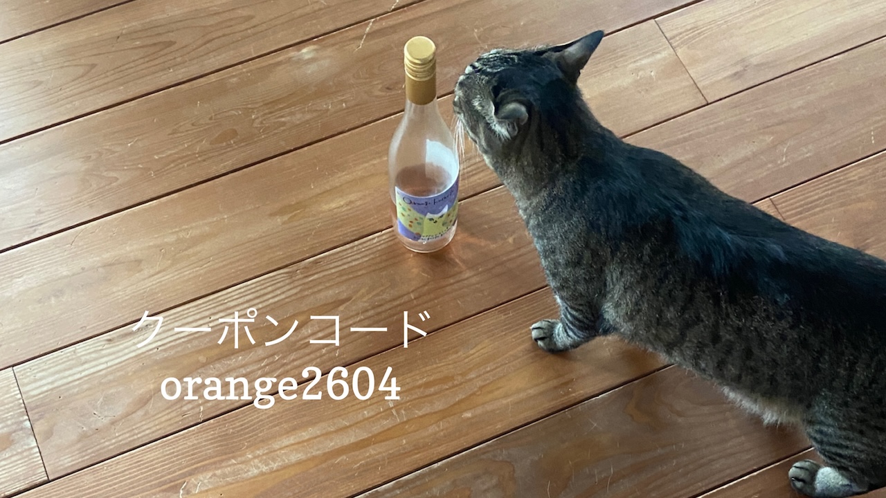 あなたが現在見ているのは 4/22 Sanyo猫の日キャンペーンのお知らせ