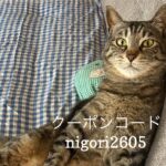 5/22 Sanyo猫の日キャンペーンのお知らせ