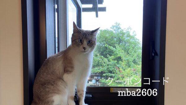 投稿についてもっと詳しく 6/22 Sanyo猫の日キャンペーン（夏期）のお知らせ