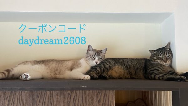 投稿についてもっと詳しく 8/22 Sanyo猫の日キャンペーン（夏期）のお知らせ