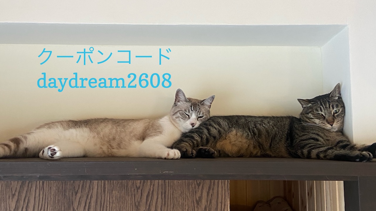 あなたが現在見ているのは 8/22 Sanyo猫の日キャンペーン（夏期）のお知らせ