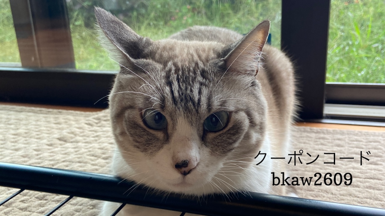 あなたが現在見ているのは 9/22 Sanyo猫の日キャンペーン（夏期）のお知らせ